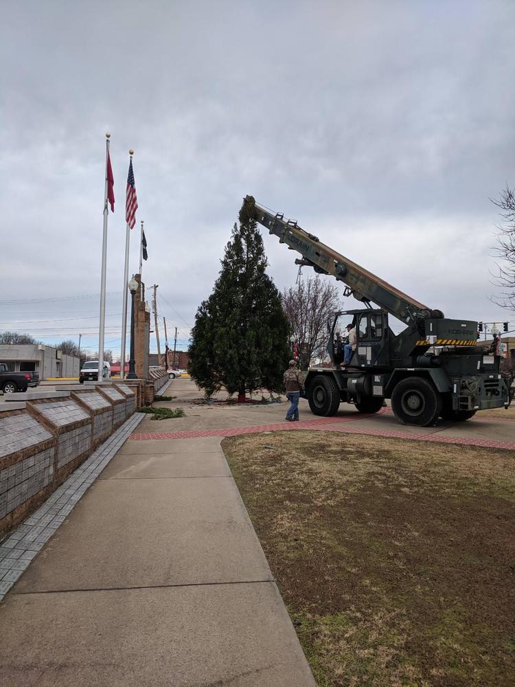 Christmas tree being erected on the Plaza