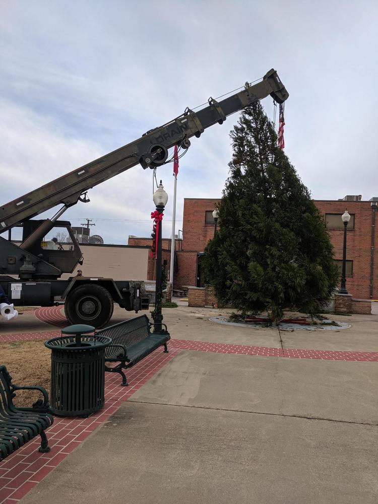 Christmas tree being erected on the Plaza