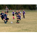 Youth soccer player trying to get ball past his opponent.