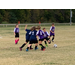 Several youth soccer players trying to get possession of the ball.