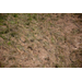 Gallery Image Number 1953